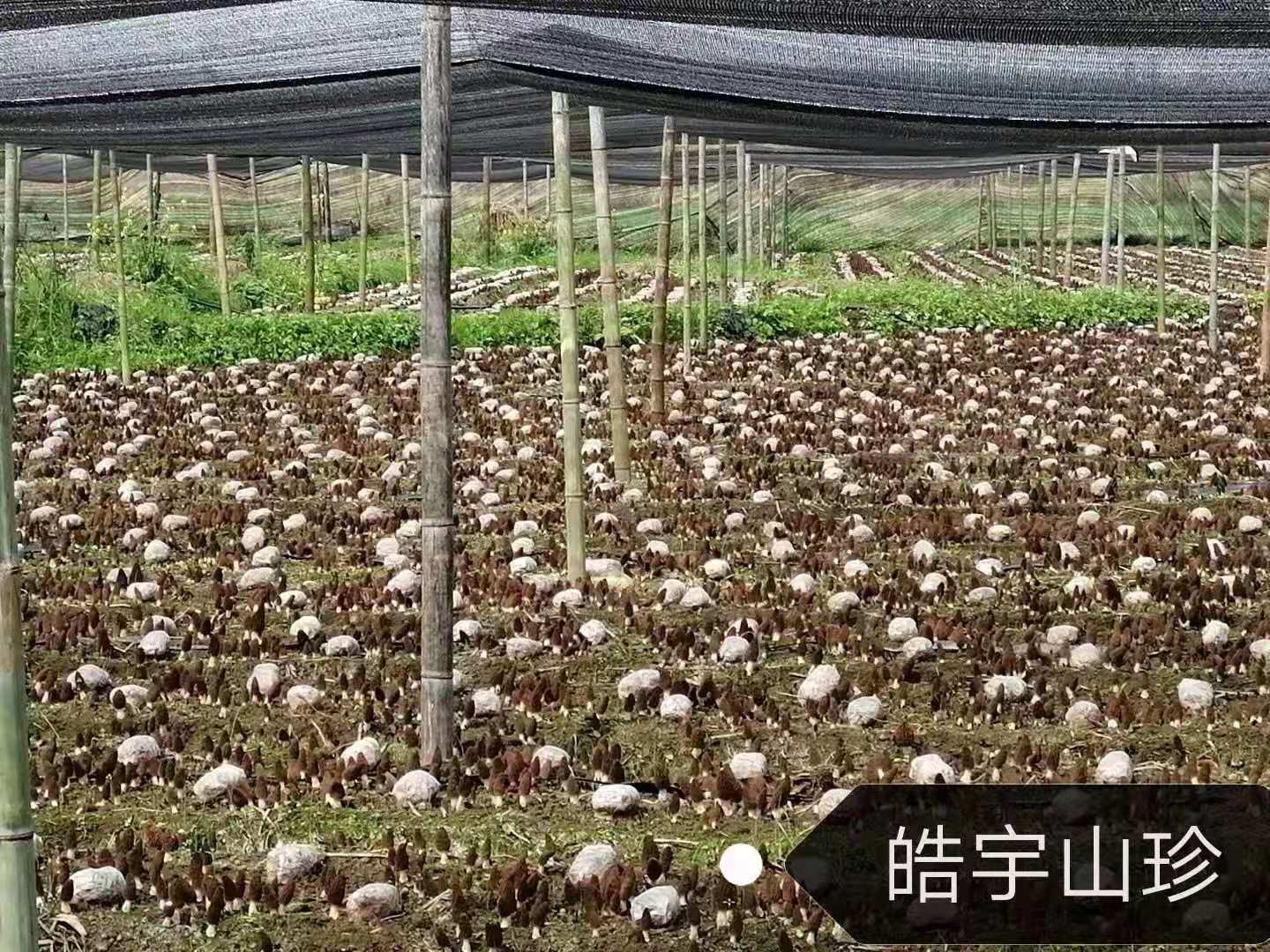 &#74;&#57;&#24179;&#21488;&#45;&#74;&#57;&#40;&#20013;&#22269;&#41;&#19968;&#31449;&#24335;&#26381;&#21153;&#24179;&#21488;