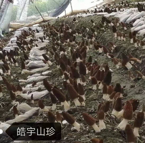 &#74;&#57;&#24179;&#21488;&#45;&#74;&#57;&#40;&#20013;&#22269;&#41;&#19968;&#31449;&#24335;&#26381;&#21153;&#24179;&#21488;