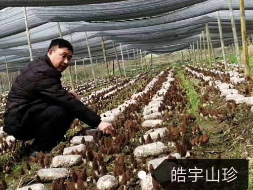 &#74;&#57;&#24179;&#21488;&#45;&#74;&#57;&#40;&#20013;&#22269;&#41;&#19968;&#31449;&#24335;&#26381;&#21153;&#24179;&#21488;