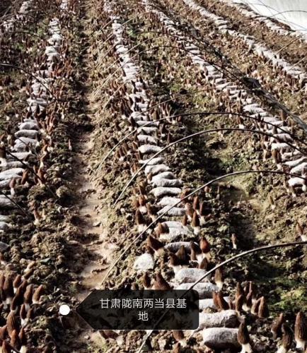 &#74;&#57;&#24179;&#21488;&#45;&#74;&#57;&#40;&#20013;&#22269;&#41;&#19968;&#31449;&#24335;&#26381;&#21153;&#24179;&#21488;