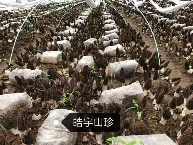 &#74;&#57;&#24179;&#21488;&#45;&#74;&#57;&#40;&#20013;&#22269;&#41;&#19968;&#31449;&#24335;&#26381;&#21153;&#24179;&#21488;