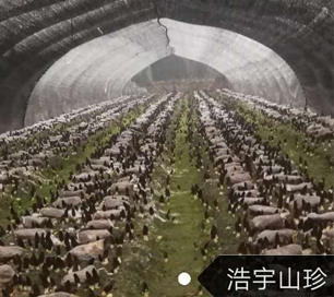 &#74;&#57;&#24179;&#21488;&#45;&#74;&#57;&#40;&#20013;&#22269;&#41;&#19968;&#31449;&#24335;&#26381;&#21153;&#24179;&#21488;