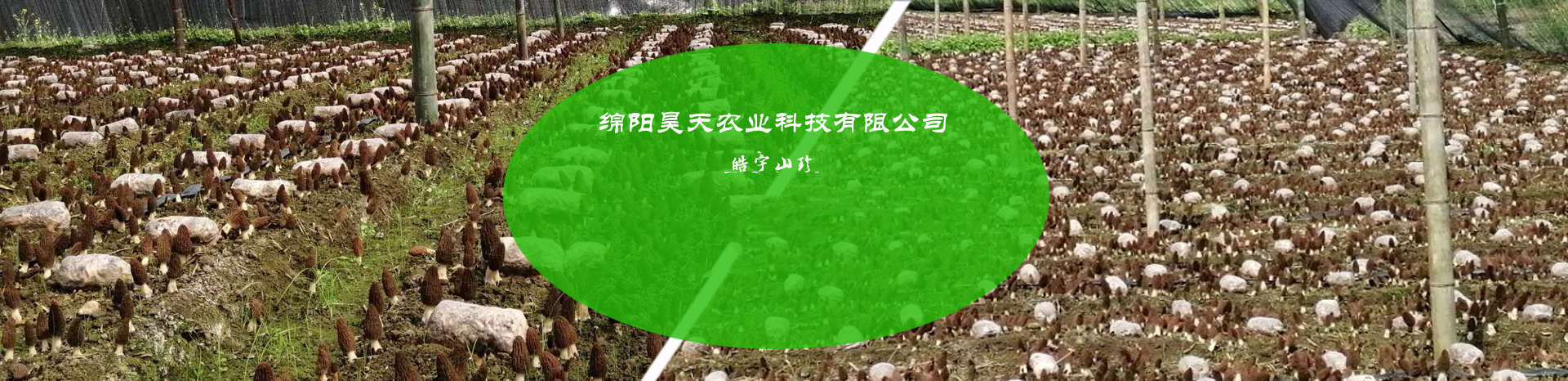 &#74;&#57;&#24179;&#21488;&#45;&#74;&#57;&#40;&#20013;&#22269;&#41;&#19968;&#31449;&#24335;&#26381;&#21153;&#24179;&#21488;