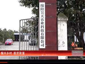 &#74;&#57;&#24179;&#21488;&#45;&#74;&#57;&#40;&#20013;&#22269;&#41;&#19968;&#31449;&#24335;&#26381;&#21153;&#24179;&#21488;