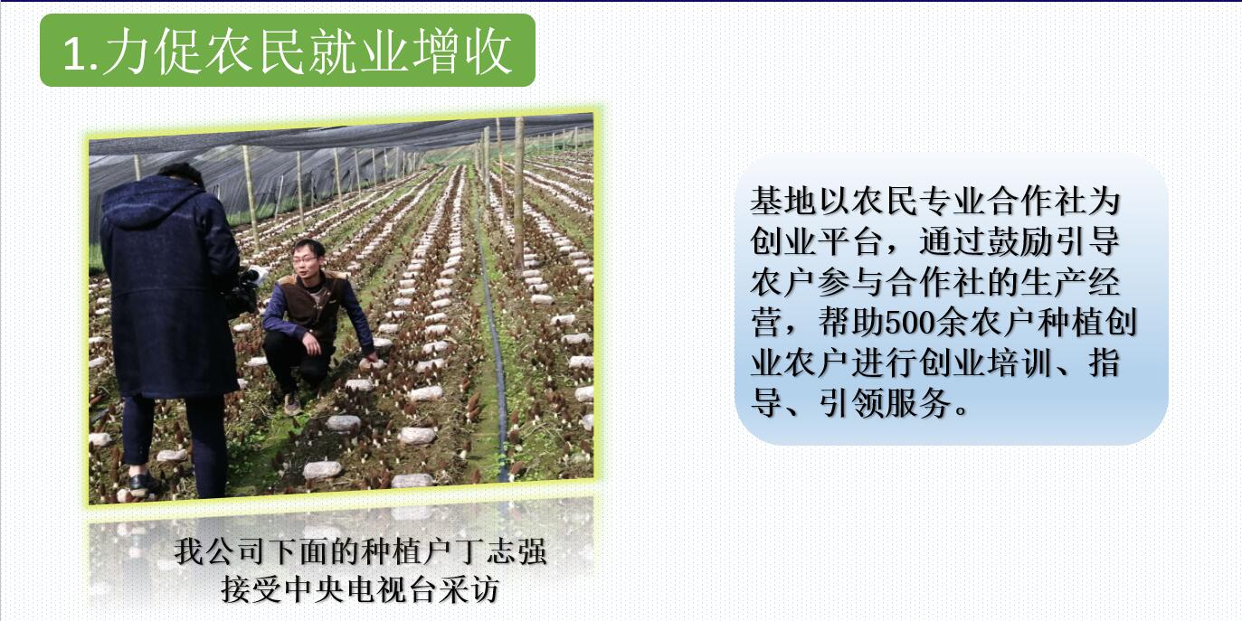&#74;&#57;&#24179;&#21488;&#45;&#74;&#57;&#40;&#20013;&#22269;&#41;&#19968;&#31449;&#24335;&#26381;&#21153;&#24179;&#21488;