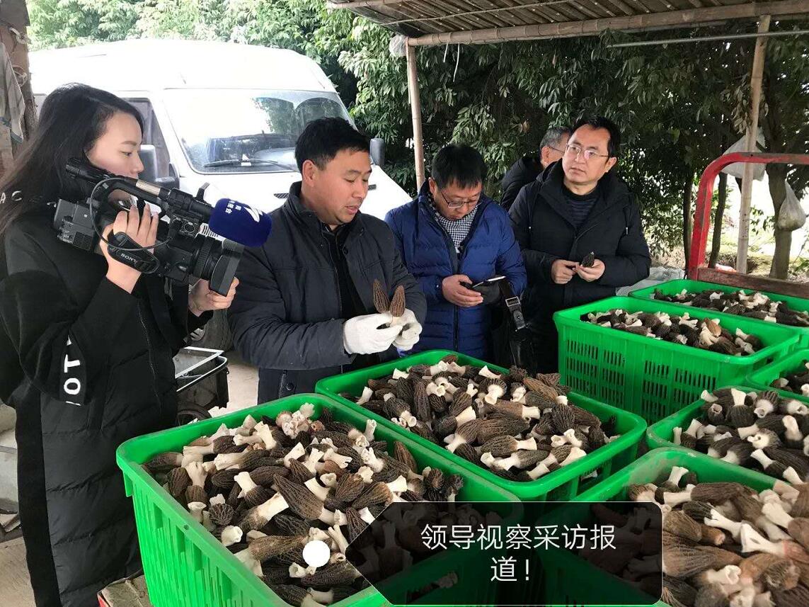 &#74;&#57;&#24179;&#21488;&#45;&#74;&#57;&#40;&#20013;&#22269;&#41;&#19968;&#31449;&#24335;&#26381;&#21153;&#24179;&#21488;
